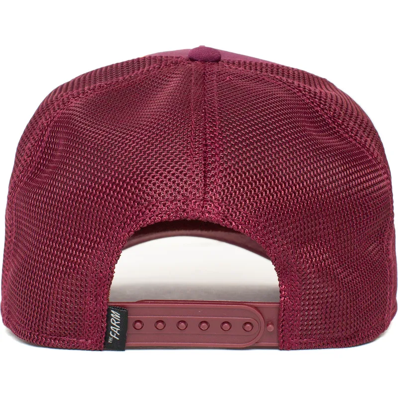 curva-snapback-the-farm-goorin-bros