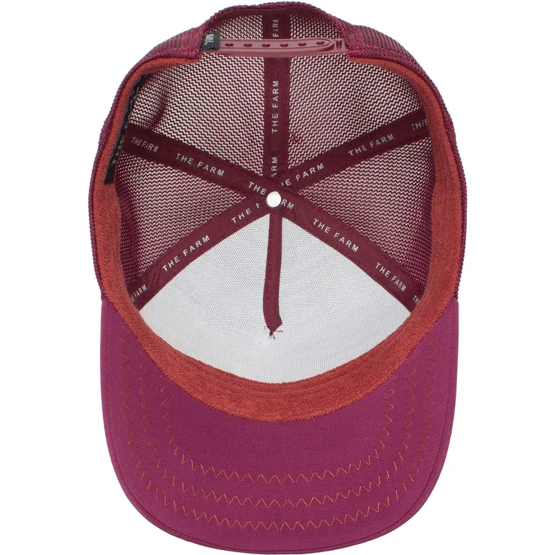 curva-snapback-the-farm-goorin-bros