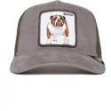 curva-snapback-the-farm-goorin-bros