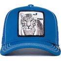 curva-snapback-the-farm-goorin-bros