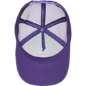 curva-snapback-the-farm-goorin-bros