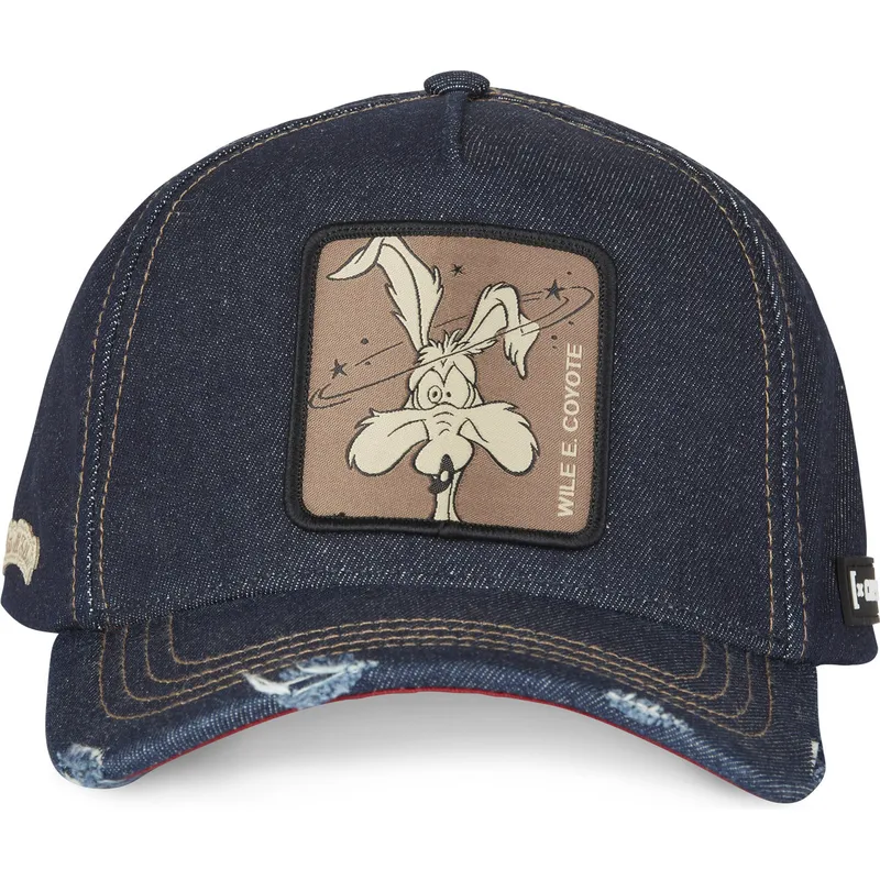 curva-snapback-looney-tunes-capslab
