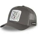 trucker-tom-tom-looney-tunes-capslab