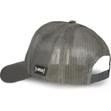 curva-snapback-tom-looney-tunes-capslab