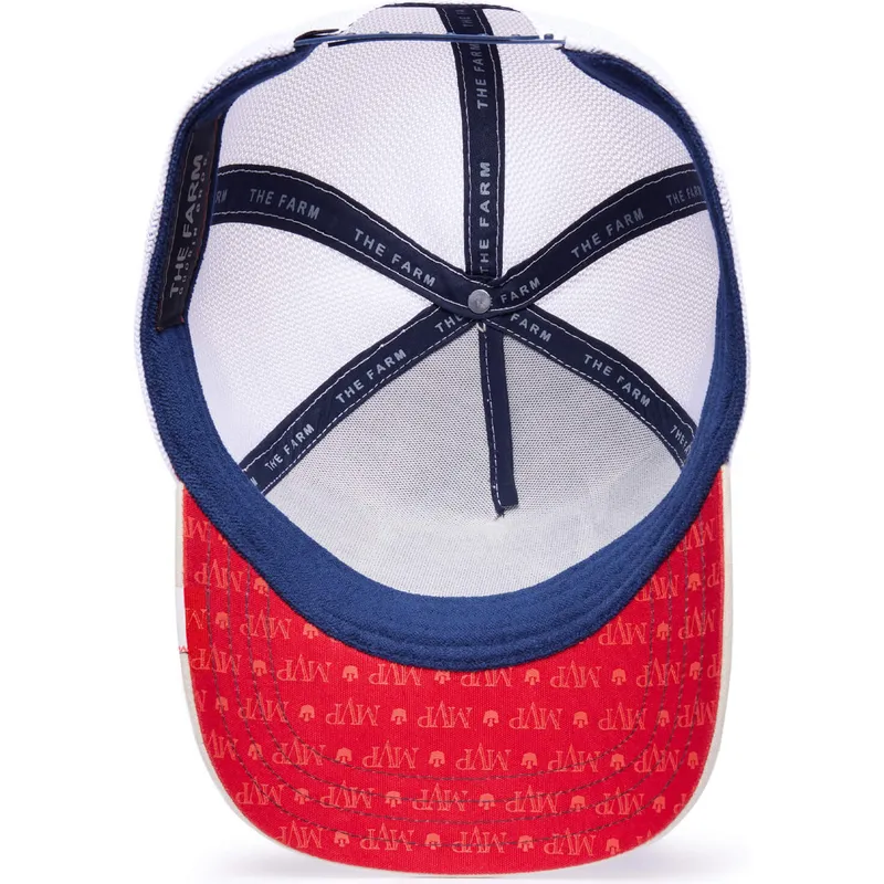 curva-snapback-the-farm-goorin-bros