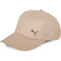 curva-puma