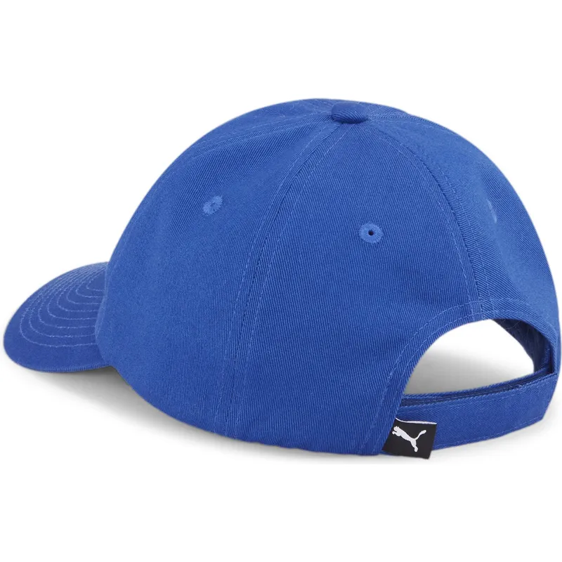 curva-puma curva-puma