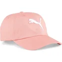 curva-puma