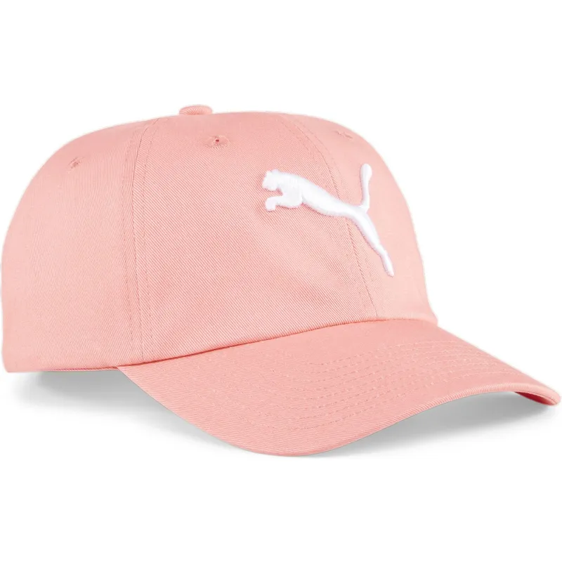 curva-puma