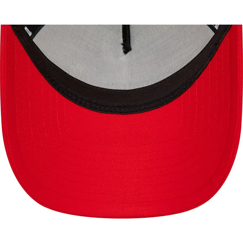 curva-snapback-a-frame-character-pato-lucas-y-porky-pig-looney-tunes-new-era