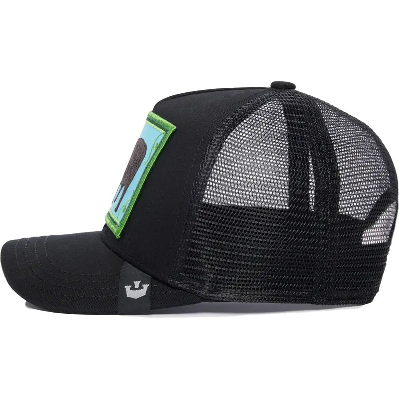 curva-snapback-the-farm-goorin-bros