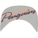 snapback-pittsburgh-penguins-nhl-47-brand