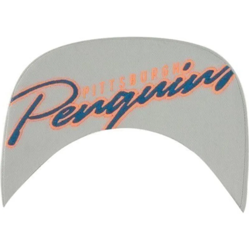 plana-snapback-nhl-47-brand