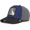 curva-snapback-the-farm-goorin-bros