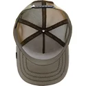 curva-snapback-the-farm-goorin-bros