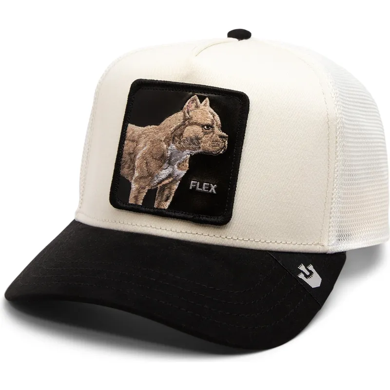curva-snapback-the-farm-goorin-bros