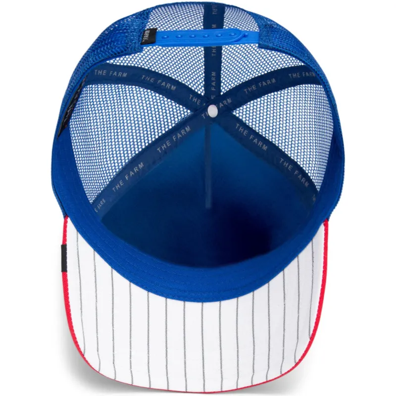 curva-snapback-the-farm-goorin-bros