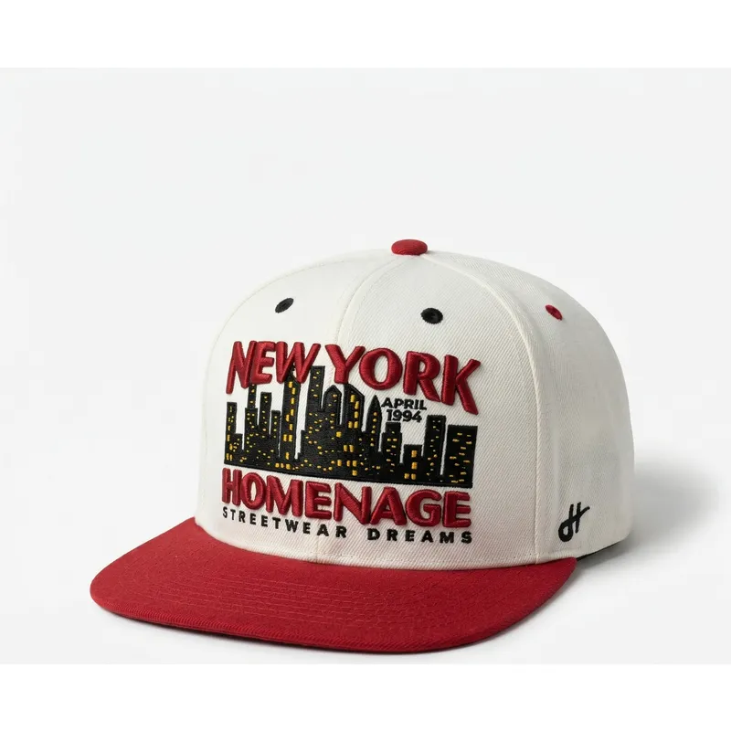 snapback-nysky-skylines-the-snap-homenage