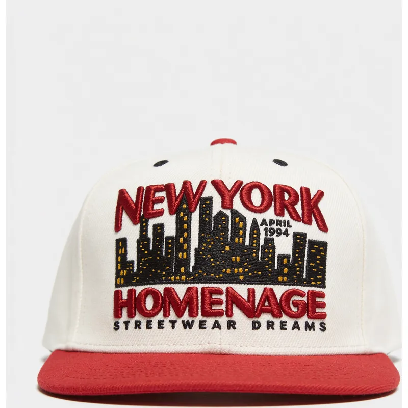 snapback-nysky-skylines-the-snap-homenage