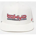 snapback-tkysky-skylines-the-snap-homenage