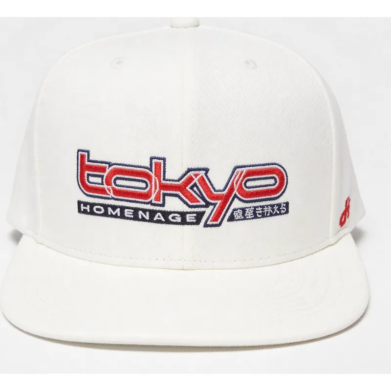 snapback-tkysky-skylines-the-snap-homenage