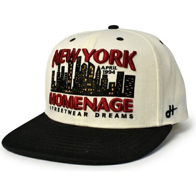 snapback-nysky-skylines-the-snap-homenage