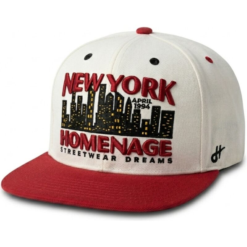 snapback-nysky-skylines-the-snap-homenage