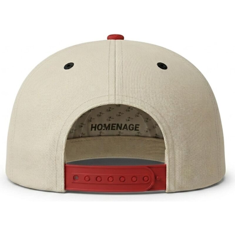 snapback-nysky-skylines-the-snap-homenage