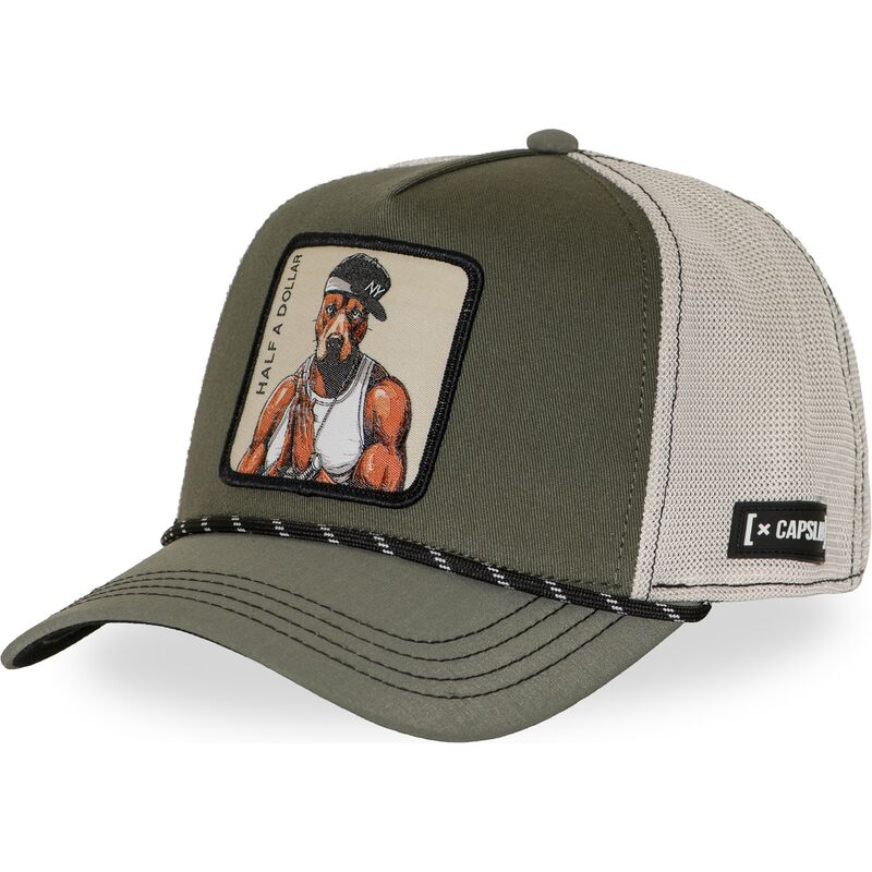 curva-snapback-hip-hop-dogz-capslab