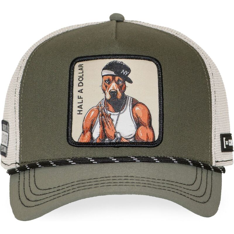 curva-snapback-hip-hop-dogz-capslab