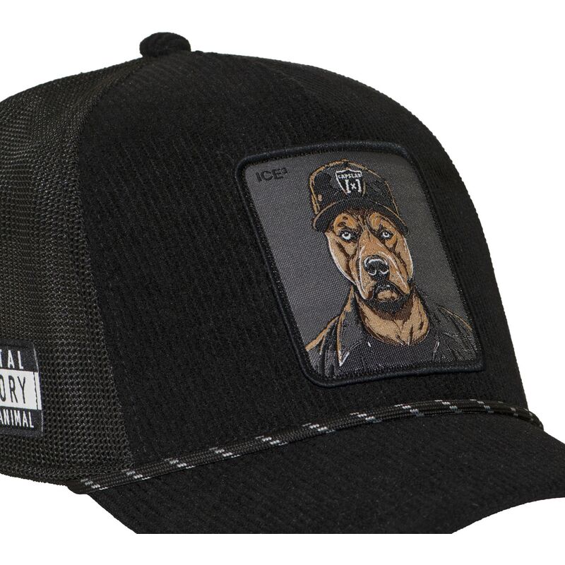 trucker-bad-dog-hip-badb-hip-hop-dogz-capslab