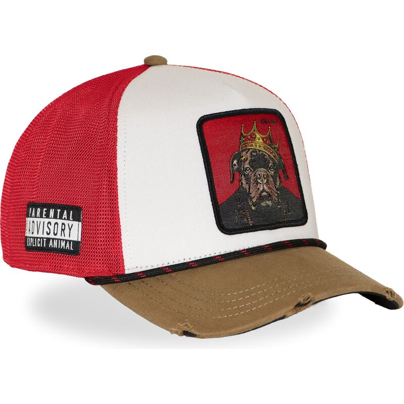 trucker-big-boy-hip-bigb-hip-hop-dogz-capslab