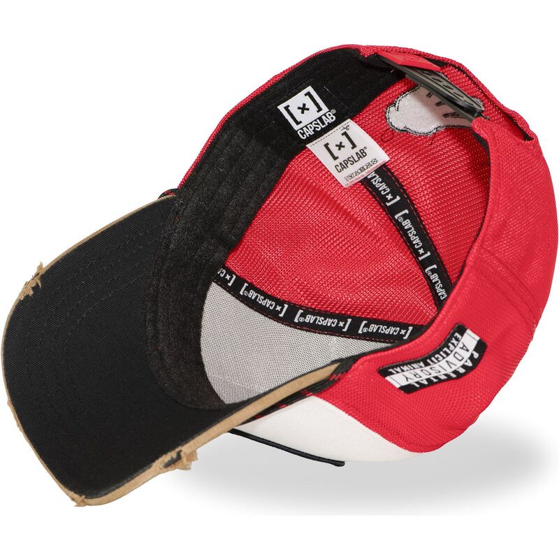 trucker-big-boy-hip-bigb-hip-hop-dogz-capslab