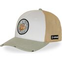 trucker-ast3-astb-capslab