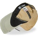 trucker-ast3-astb-capslab