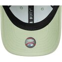 9forty-dino-icon-new-york-yankees-mlb-new-era