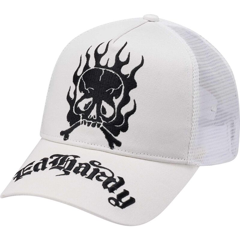 snapback-gothic-skull-in-flames-ed-hardy