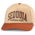 snapback-roscoe-sequoia-national-park-american-needle