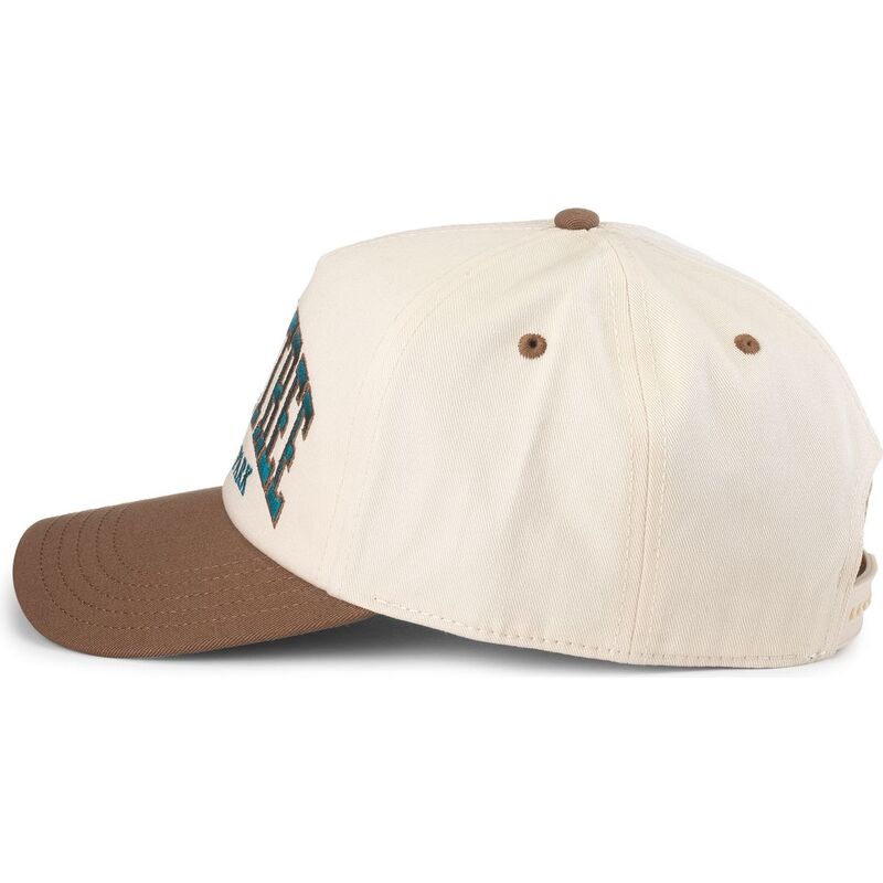 snapback-roscoe-joshua-tree-national-park-american-needle
