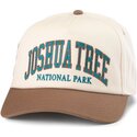 snapback-roscoe-joshua-tree-national-park-american-needle