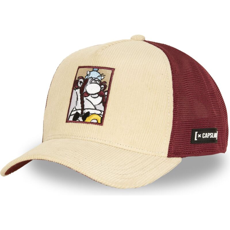 snapback-ast4-ide-capslab