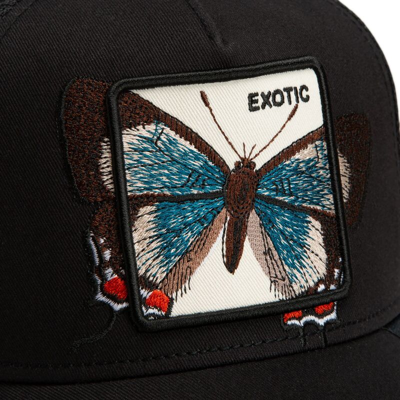 snapback-over-the-line-butterfly-out-of-bounds-exotic-the-farm-goorin-bros snapback-over-the-line-butterfly-out-of-bounds-exotic-the-farm-goorin-bros