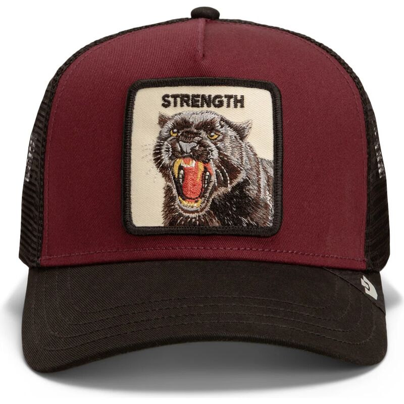snapback-strength-panther-original-recipe-the-farm-goorin-bros