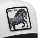 snapback-digital-stallion-split-decision-the-farm-goorin-bros