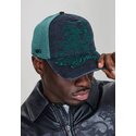 snapback-outline-distressed-ed-hardy