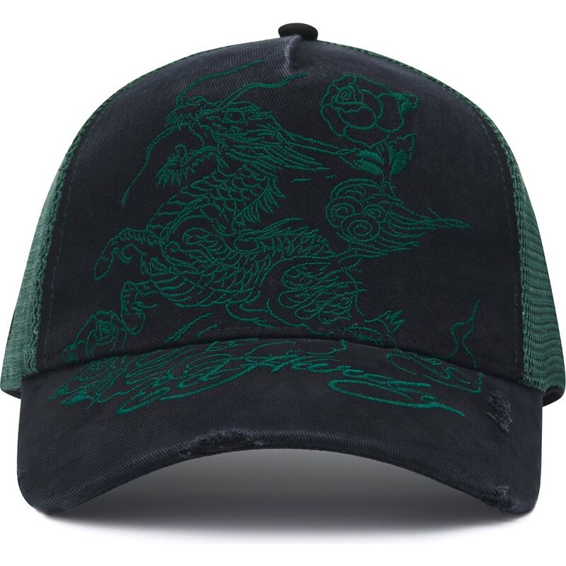 snapback-outline-distressed-ed-hardy
