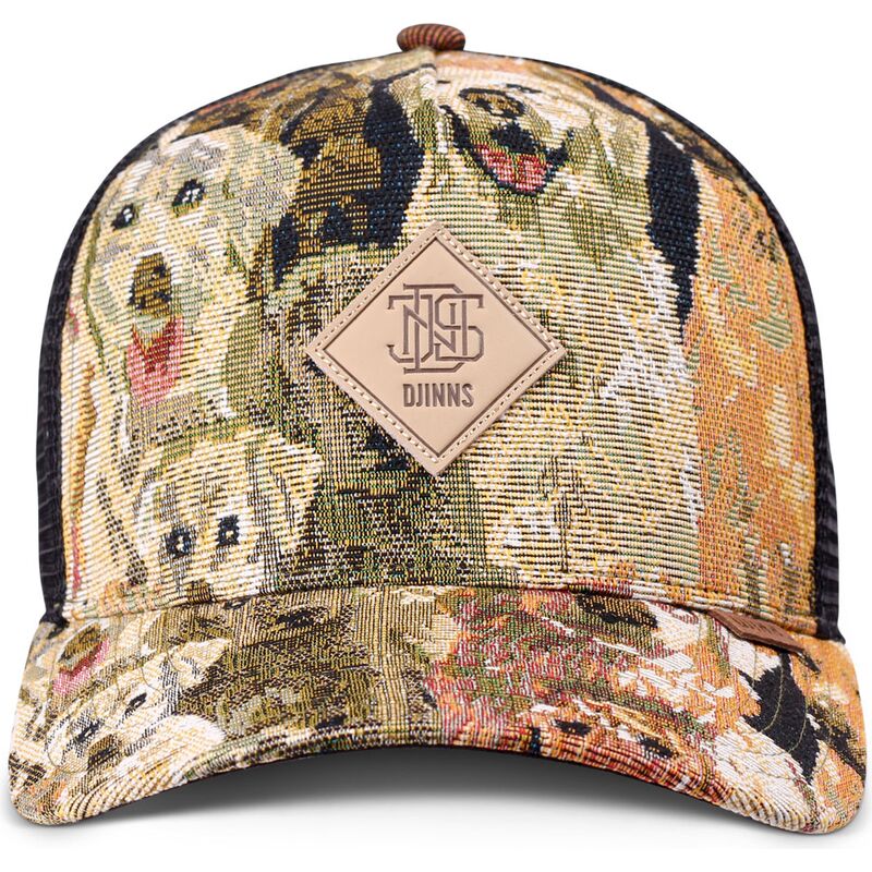 snapback-hft-crasy-sofa-dogs-djinns snapback-hft-crasy-sofa-dogs-djinns